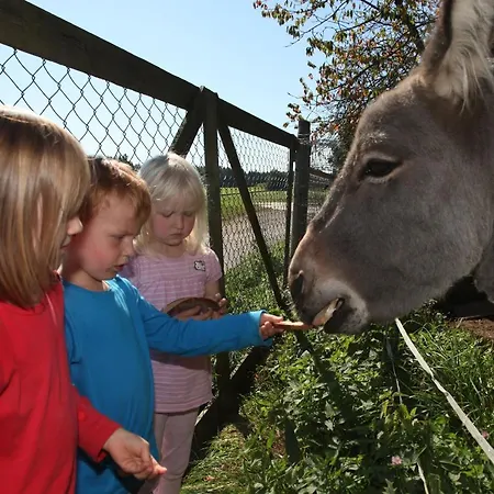 Hanauerhof * Schönsee
