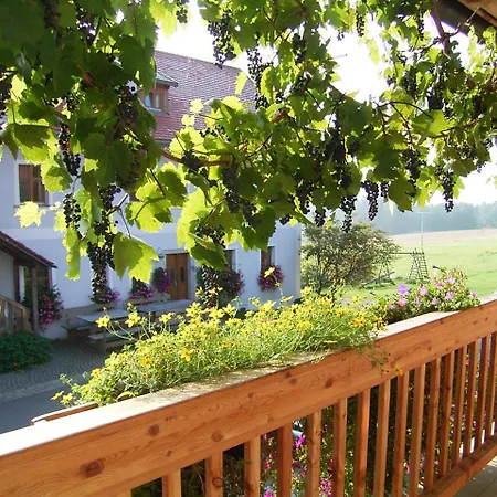 Hanauerhof Farm stay