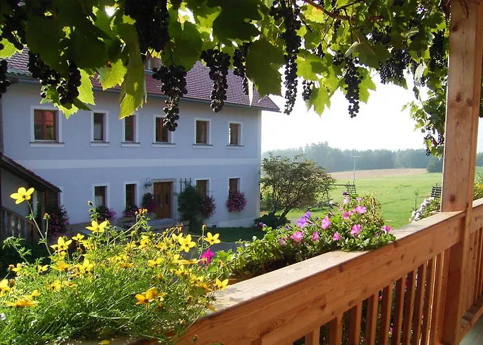 Hanauerhof Feriegård Schönsee