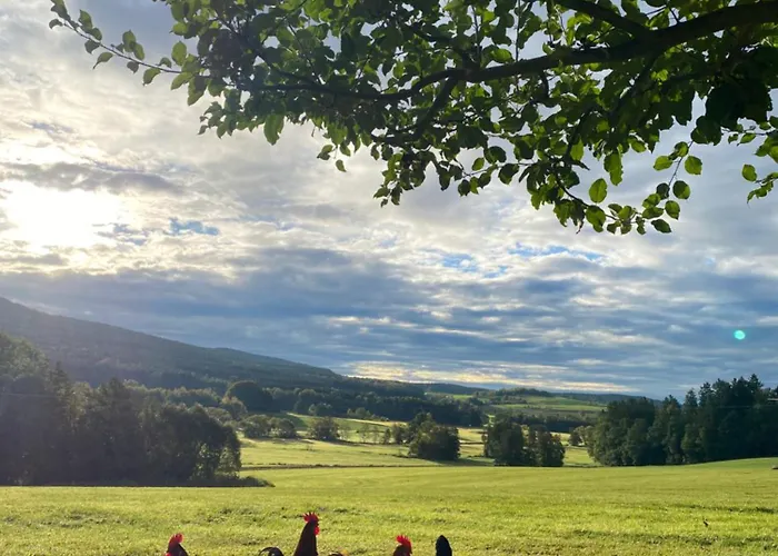 Feriegård Hanauerhof